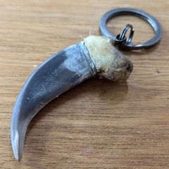 熊の爪】ヒグマの爪キーホルダー 天然物 一品限り 魔除け - メルカリ