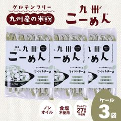 ＼ 訳あり ／ 旧パッケージ 在庫処分 国産 米粉 麺 九州こーめん フィットチーネ ケール麺 3袋【賞味期限2024年4月30日】