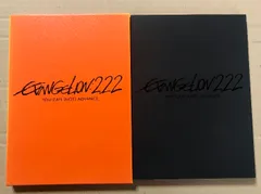 ヱヴァンゲリヲン新劇場版 破　EVANGELION:2.22 YOU CAN (NOT) ADVANCE. キングレコード 林原めぐみ [DVD]