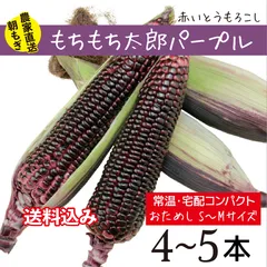 沖縄県産 紫もちとうもろこし Ｂ品 約4.4kg【常温便】② 沖縄県産 紫もちとうもろこし B品 約4.4kg【常温便】②