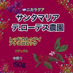🇳🇮ニカラグア　アナエロビックナチュラル