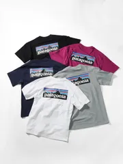 PatagoniaパタゴニアOrganic T-Shirt男女兼用ロゴプリント半袖