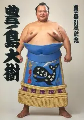 【中古】パンフレット ≪パンフレット(相撲)≫ パンフ)豊ノ島引退 井筒襲名大相撲