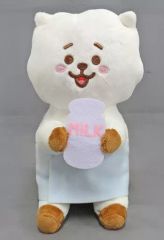 [중고] 봉제인형 RJ(진) 봉제인형 [이치반 복권 BT21 Happy Bath Time] B상