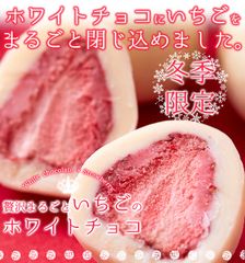 贅沢まるごと いちご の ホワイトチョコ チョコ いちごチョコ 約100g ネコポス