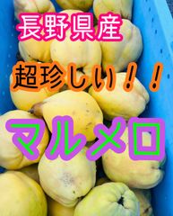 大容量お得！約30キロ！超珍しい！マルメロ長野県産　花梨