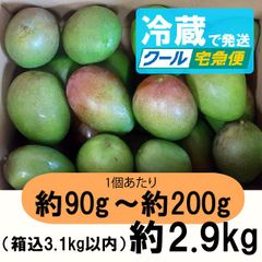 紫3-1】約2.9kg グリーンマンゴー 青マンゴー マンゴー 摘果マンゴー