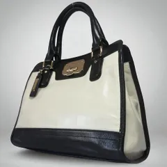 【美品】COLE HAAN コールハーン レザー ハンドバッグ かばん 鞄 B5 ゴールド金具 仕事 お祝い お食事会 y2k ラグジュアリー 高品質 多様 hand bag バイカラー