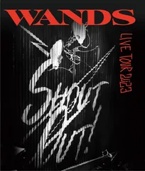 2025年最新】WANDS第5期の人気アイテム - メルカリ