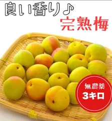 ミナミナ様谷沢梅大玉完熟梅10キロクール便送料込み