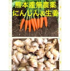 熊本産無農薬にんじん&生姜1.2キロ