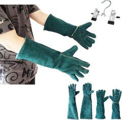 Item thumbnail for item feb1d72d-7ecb-49bc-8c9e-3488ba85eced