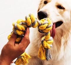 Item thumbnail for item 3e2c4a56-c924-4911-855d-e209237b8e2d