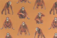 【ゆきちゃん限定】X2315 オラウータン柄 コットン生地 オレンジ系 1m