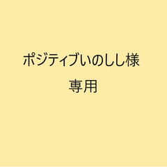 ポジティブいのしし様専用　ネクタイ3本セット　ラルフローレン・J.PRESS