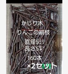 Item thumbnail for item 7b259faf-04f9-4ed9-a17d-1e5cc87df8db