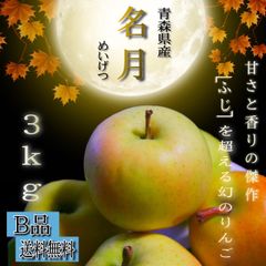 青森県産 ぐんま名月 りんご【B品3kg】【送料無料】【農家直送】リンゴ