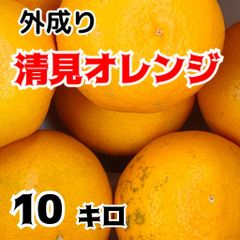 外成り清見オレンジ　内容量10キロ　サイズ不揃い(L〜М)　訳あり家庭用　北海道、沖縄のお客様発送不可です