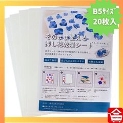 Item thumbnail for item f3cf4d6a-838a-4669-8e2f-8010ec53d8de