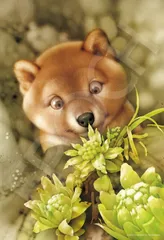 2025年最新】村松誠 パズルの人気アイテム - メルカリ