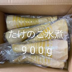 タケノコ　孟宗竹　水煮900g