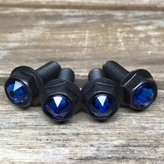 黒ステンレス＆青クリスタルガラス 高耐久性 スワロフスキー ナンバーボルト 4本