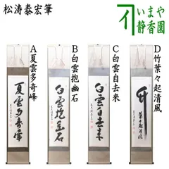 【画賛掛け軸】ざくろ画「夏雲多奇峰」 画賛掛け軸】ざくろ画「夏雲多奇峰」 - メルカリ