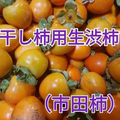 市田柿用生柿☆渋柿☆箱込み20キロ☆チビチビサイズ市田柿