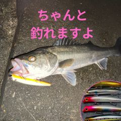 ジャッカルルアーセット スリークマイキー115 スパイテール ナギサ