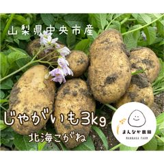 まんなか農園の北海こがね3kg