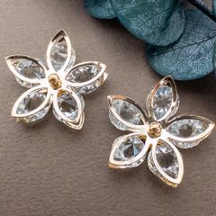 Item thumbnail for item fb06c980-edc7-4f7b-9ce5-301a3129cf48