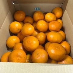 中島極上カラーマンダリン20キロ　4箱5キロ  箱