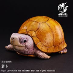 動物の惑星】フロリダカミツキガメ フィギュア - メルカリ