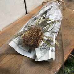 ドライフラワードライアンドラフォルモーサ