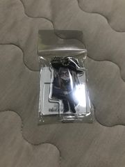 FGO アクキー　メキシコ　ふぶき様専用