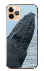 Xperia 5 IV SO-54C SOG09 A204SO ケース カバー エクスペリア5IV スマホケース ハードケース クジラ くじら クジラ ホエールウォッチング 海 動物 写真 かっこいい カッコイイ クール カラー08