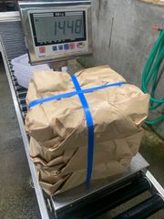 石鯛餌ウニ殻 - メルカリShops