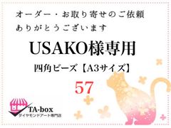 57☆USAKO様専用 四角ビーズ【A3サイズ】オーダーページ☆ダイヤモンドアート