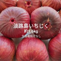 淡路島産 路地栽培いちじく 4パック(約1.6kg)箱   無花果イチジク玉葱