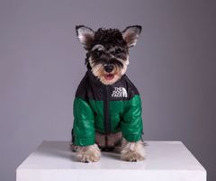新品 犬服 グリーン ちくわちゃん 中綿ジャンパー   袖付き ペット服 超あたたかいッグウェア  冬服