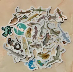 トッケイヤモリ　アクリル画　ゲッコー　爬虫類　アート　水彩画　顔彩画 トッケイヤモリ アクリル画 ゲッコー 爬虫類 アート 水彩画 顔彩