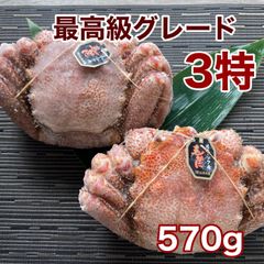 最高級3特ランク北海道オホーツク産冷凍毛蟹570g2尾14900円
