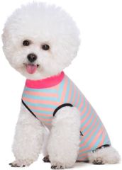 Item thumbnail for item 7f0b8630-8f43-4700-967f-36a79685803a