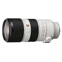 2026年最新】sony 70-200mm f2.8 gm oss iiの人気アイテム - メルカリ