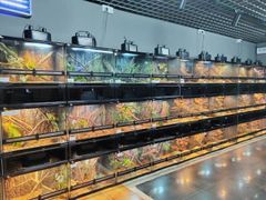 爬虫類両生類飼育ケージ、組み立て式　ガラス飼育ケージ60x30x30cm 引取り限定！即時発送 カエル　ヘビ　カメ　トカゲ　陸カ　メハムスター