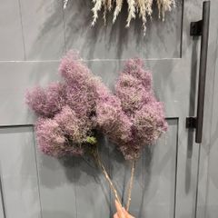 週末限定セール！スモークツリー中枝Ｍ　ルビー　2本セット　ドライフラワー