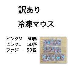 ラット屋さん（全品送料込み） - メルカリShops
