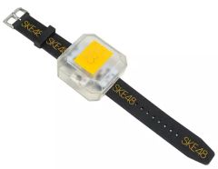 Item thumbnail for item 58567990-0387-42a6-874b-c6ef2ff955e0