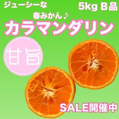 ジューシーな春みかん　カラマンダリン　B品　5kg  【和歌山県有田産】【農家直送】