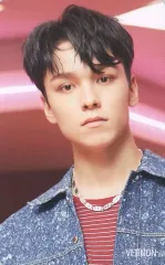 【中古】コレクションカード(男性) SEVENTEEN/VERNON(バーノン)/CD「Special Album ; [Semicolon]」Loppi・HMV特典オリジナルスペシャルフォトカード 第2弾